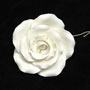 Garden Rose - Extra Large - White