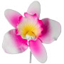 Cattleya Single - Small Pink