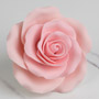 Garden Rose - Extra Large - Pink