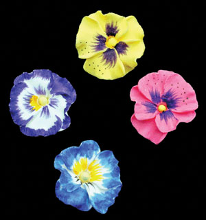 Pansy Petites - Mixed (Gumpaste)
