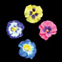 Pansy Petites - Mixed (Gumpaste)