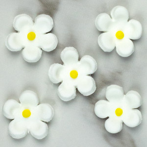 Blossoms - Mini - White