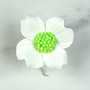 Dogwood Single - White