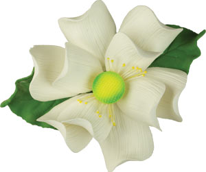 Magnolia Flower W/Leaves