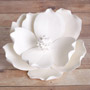 Magnolia - White