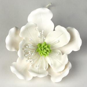 Magnolia-Full Blossomed- White