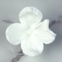 Hydrangea Singles-2 Sizes- White