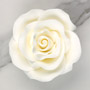 White Rose Single - Jumbo