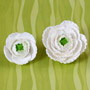 Ranunculus - White Only (2 Sizes)