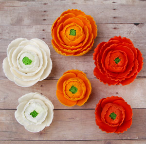 Ranunculus - Mixed Colors