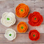 Ranunculus - Mixed Colors