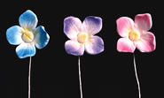 Hydrangea Singles-Small-Asst. Colors