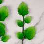 Rose Leave Sets - Green (2 Sizes)