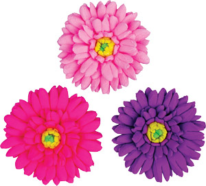Aster Flowers - Assorted