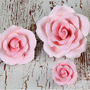 Bloomed Garden Rose-Mix Sizes-Pink