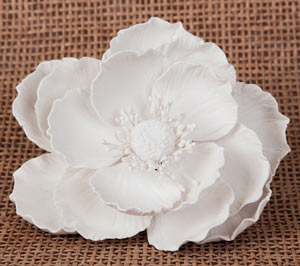 Large Poppy - White