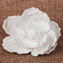 Large Poppy - White