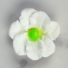 Cosmos Flowers - White w/ Green Center