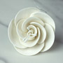 Dog Rose - Single White