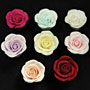 Athena's Rose-Small (No Wire)-Asst.
