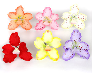 Spotted Vanda Orchid Assortment