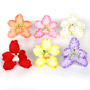Spotted Vanda Orchid Assortment