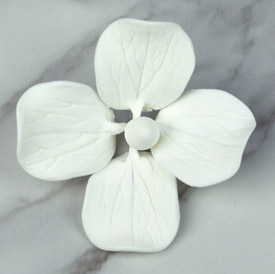 Hydrangea Single - Medium White