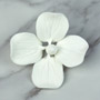Hydrangea Single - Medium White