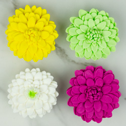 Chrysanthemum - Medium - Assorted