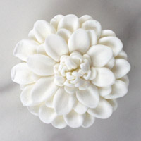 Chrysanthemum - Medium - White Only