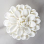 Chrysanthemum - Medium - White Only