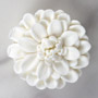 Chrysanthemum - Large - White Only