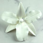 Vuylstekeara Orchid Single - White