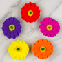 Gerbera - Medium - Assorted Color