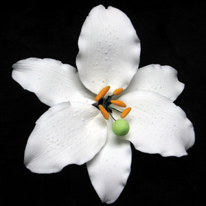 Casablanca Medium White Single
