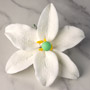 Casablanca Lily Single- Large White