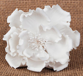 Large Peony - White - 4.75