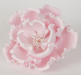Large Peony - Pink - 4.75