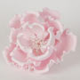 Large Peony - Pink - 4.75