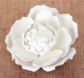Blooming Peony/Closed - White