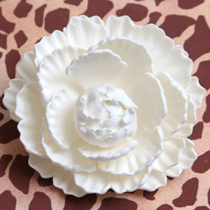 Closed Peony - White