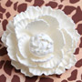 Closed Peony - White