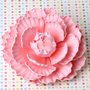Closed Peony - Pink