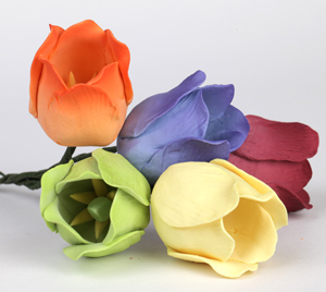 Tulip Singles - Mixed Colors