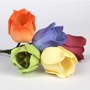 Tulip Singles - Mixed Colors