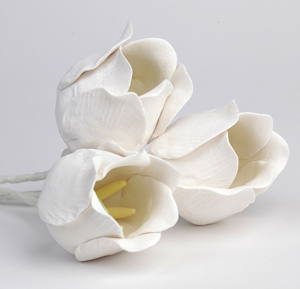 Tulip Singles - White Only