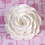 Large Briar Rose - White