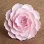 Large Briar Rose - Pink