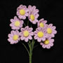 Daisy Mini Bunches- Lavender