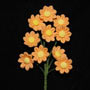 Daisy Mini Bunches- Bright Orange